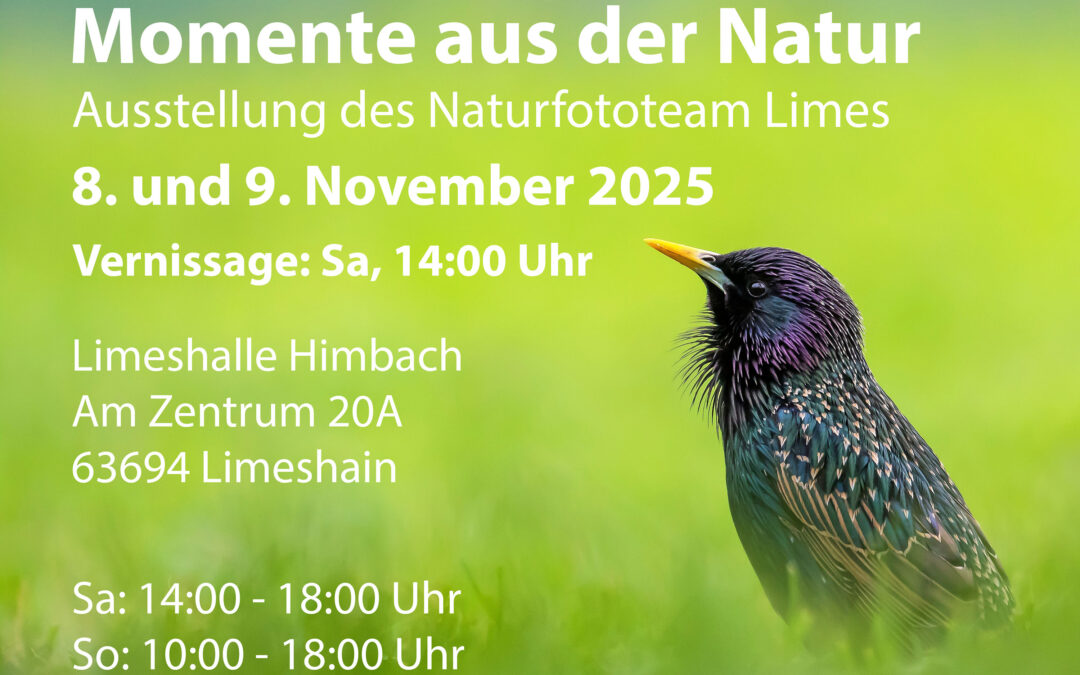 Fotoausstellung am 8./9. November 2025
