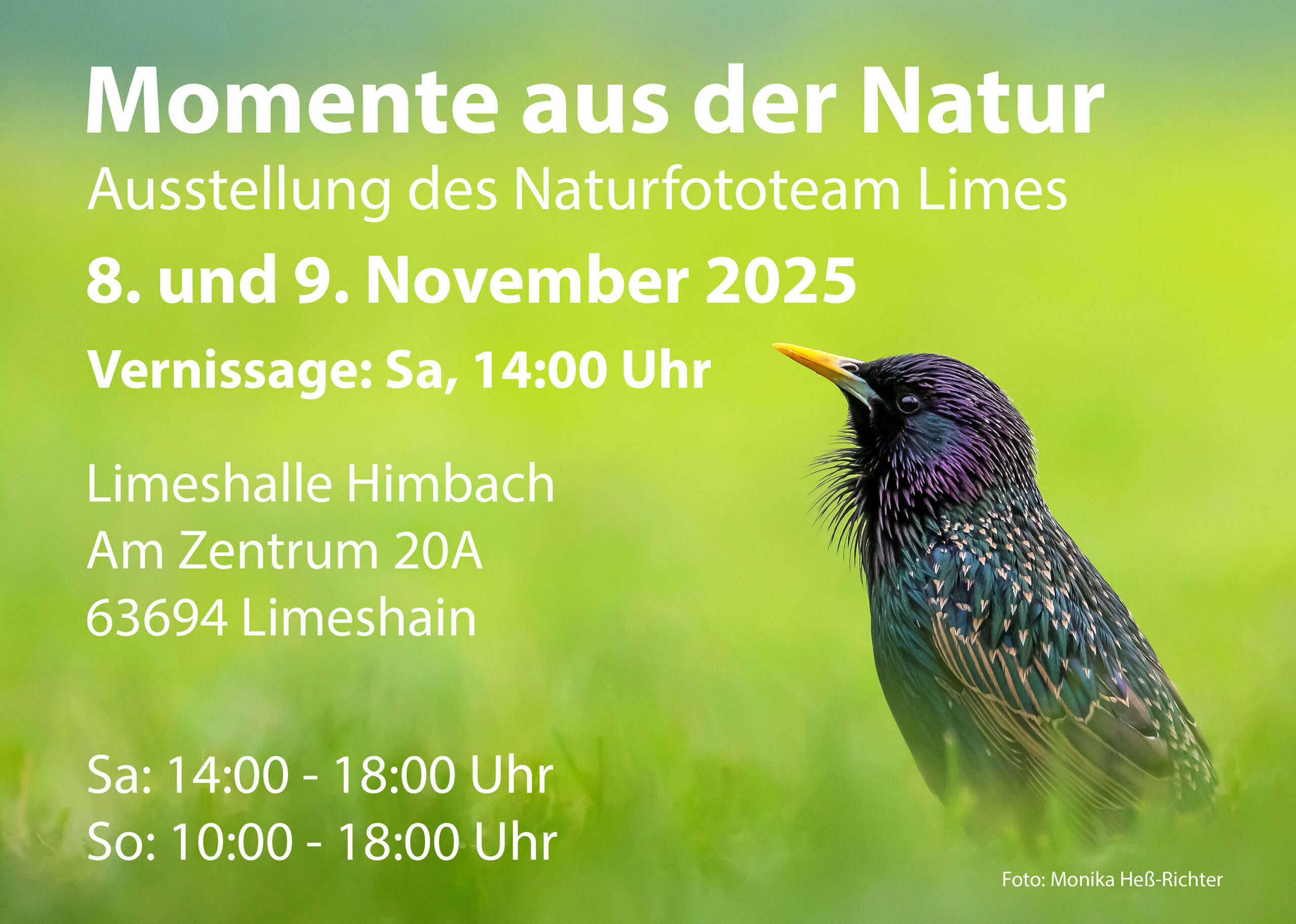 Einladung_NftL-Ausstellung_2025_Mail